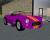 Clemson Sports Car