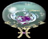 zodiac snow globe