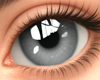 Eclipse Gray Eyes