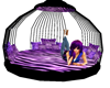 .ASA. Purple Swing