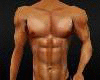 ^Sexy Big Muscle Body