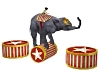 Circus Elephant Show