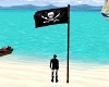 Animated Pirate Flag