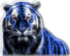 Eletro Tiger