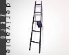 Z' Wall Ladder