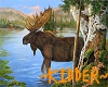 (K) Lonesome Moose