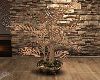 Yperoxo Home Plant 1