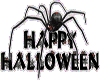 Halloween Spider Anim.
