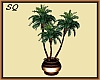 [SQ] Potted Palm Plant