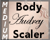 Body Scaler Audrey M