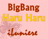 BigBang - HaruHaru Part2
