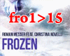Frozen Mix
