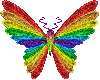 [ARG] Butterfly Big