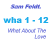 Sam Feldt / What about