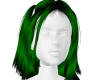 shamrock