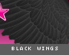 [V4NY] IF Black Angel