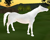 White Ghost Horse pet