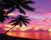 Sunset - Tahitian