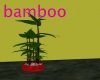 dog days bamboo