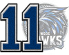 WSOS FB Jersey # 11