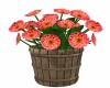 Dahlia Flower Bucket