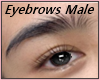 Eyebrows  Male