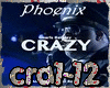 [Mix+Danse]  Crazy Rmx