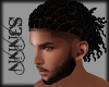 S3N - Black Bun Locs