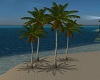 Animated Beach Palm Tree