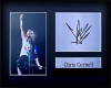Chris Cornell MP3