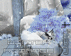 S†N Winter Romance