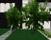 Stylez night Modern Home