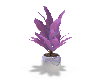 Purple&silverPlant