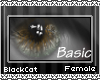 [BC] Basic | 06 F