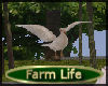 [my]Farm White Doves