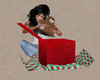 Animated Christmas Gift