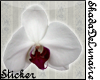 [SDL] Orchid