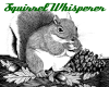 Squirrel Whisperer