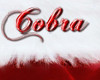 Cobra's Stocking