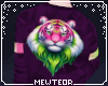 Sweater | Pitaya tiger