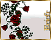 [Efr] Hanging Roses Red