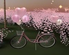 Romantic Bike