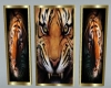 Fierce 3pc Tiger Frame