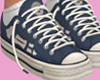 Blue  Skull Low Shoes WS