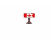 canadian/usa flag lamp