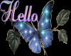 Hello Butterfly animatio