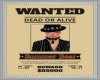 Summer Wanted Poster