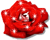 [EAW] RED ROSE