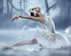 Ballet Dance DRV