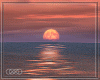  Just Ocean+Sunset